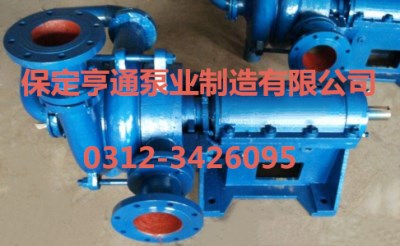 專用入料加壓雜質泵100ZJE-Ⅱ