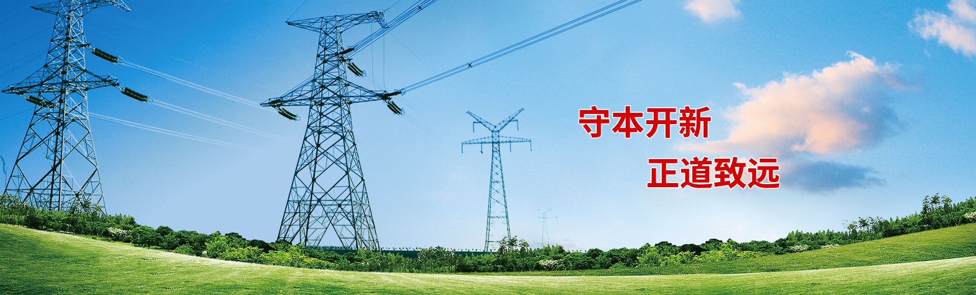 中京電力