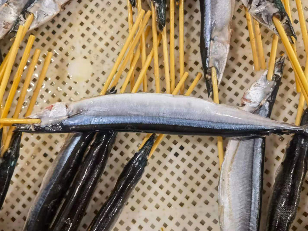  水產品秋刀魚