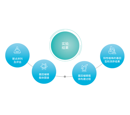 脫靶檢測