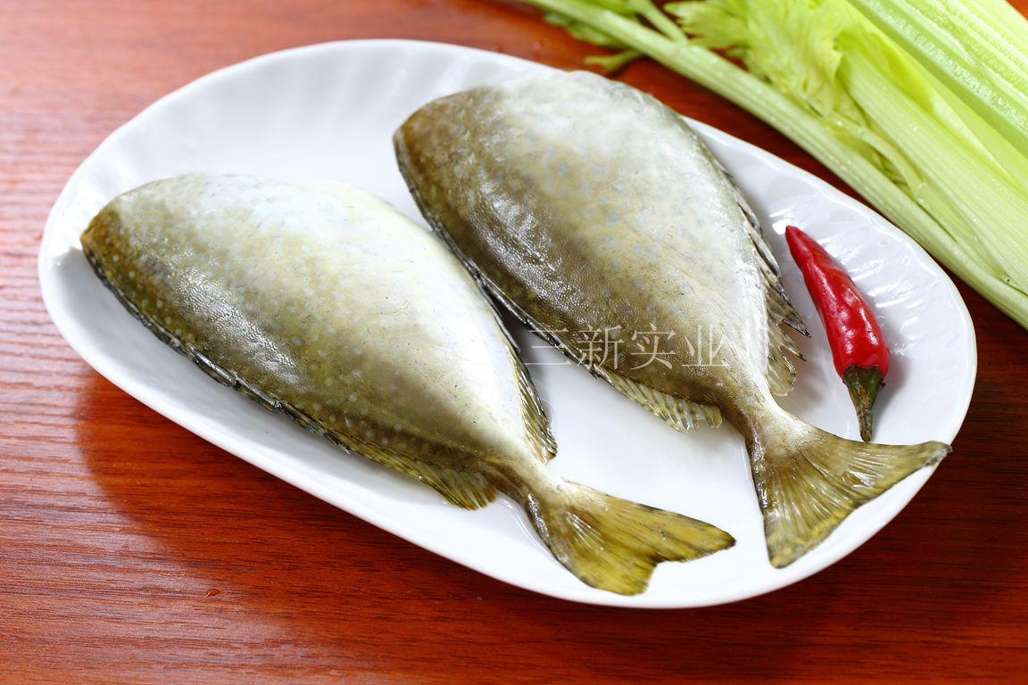 三去泥猛魚