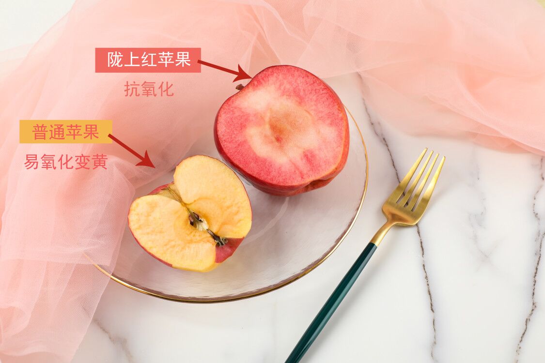 夏天适合孩子吃的水果,你都准备好了吗? 夏天适合孩子吃的水果,你都准备好了吗?