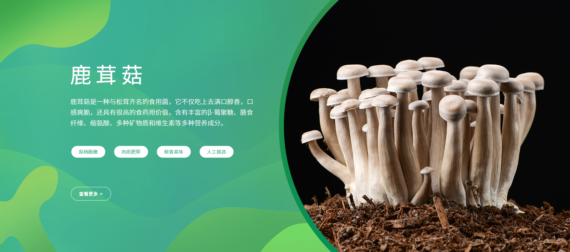 省級(jí)重點(diǎn)農(nóng)業(yè)企業(yè)