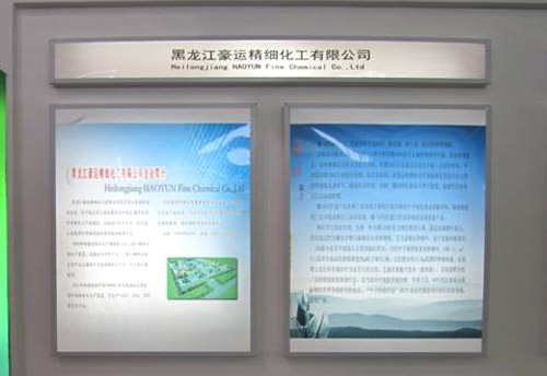 我公司出展第二屆中國(guó)國(guó)際新材料產(chǎn)業(yè)博覽會(huì)