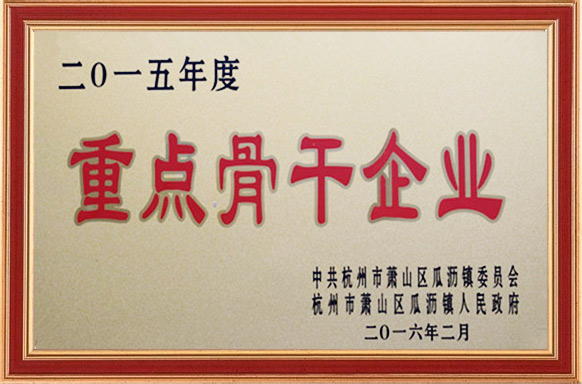 2015重點(diǎn)骨干企業(yè)