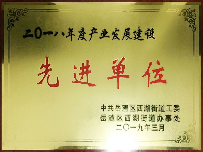 2018年度產(chǎn)業(yè)發(fā)展建設(shè)先進單位（中共岳麓區(qū)西湖街道工委、岳麓區(qū)西湖街道辦事處）