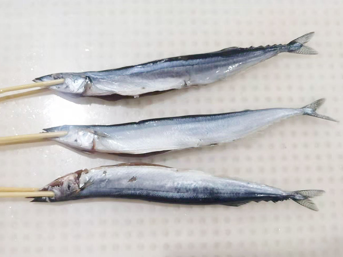  秋刀魚