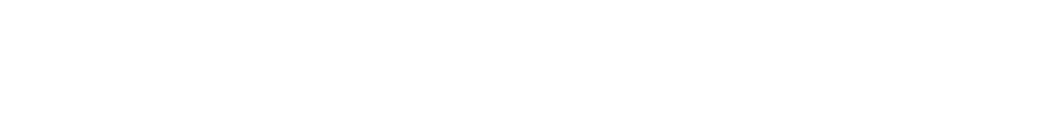 主营业务