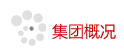 这是描述信息