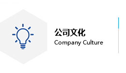 公司文化
