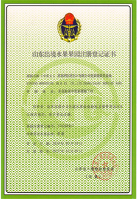 这是描述信息