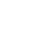 Professional Committee
