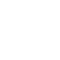 Special Committee