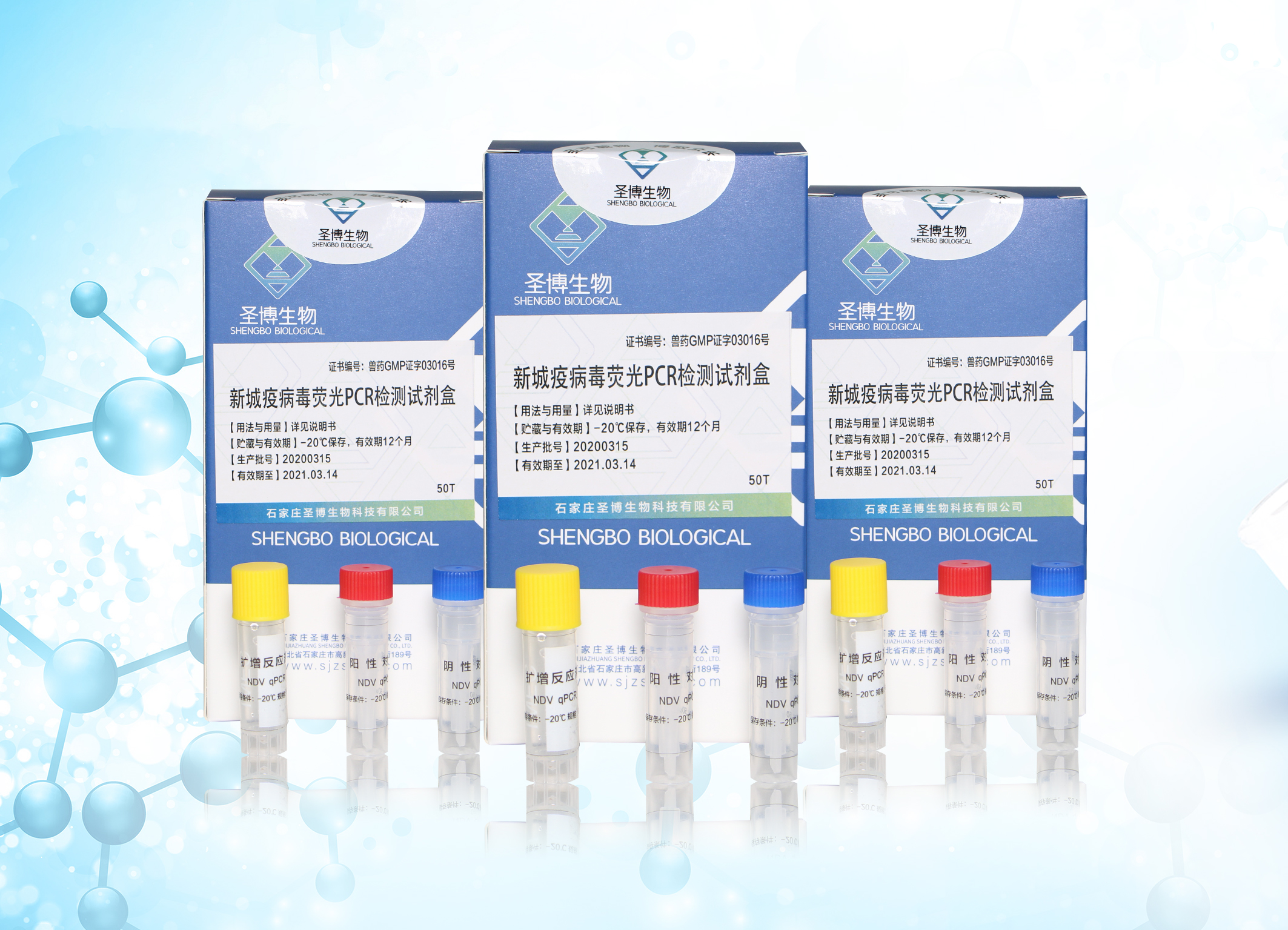 新城疫病毒荧光PCR检测试剂盒