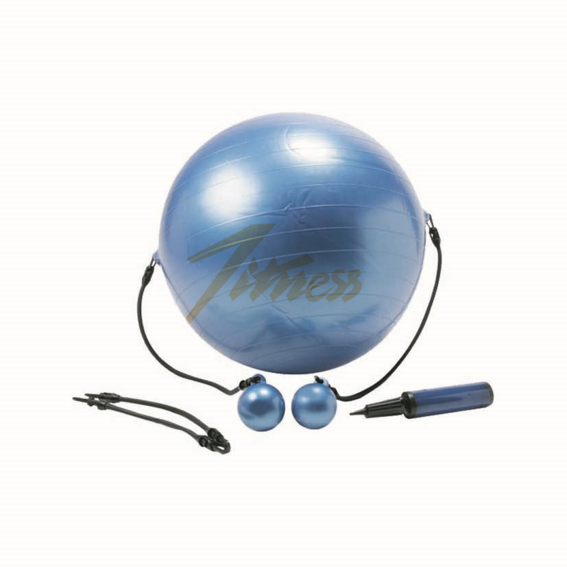 EXERCISE BALL WITH WEIGHTED TONING BALLS