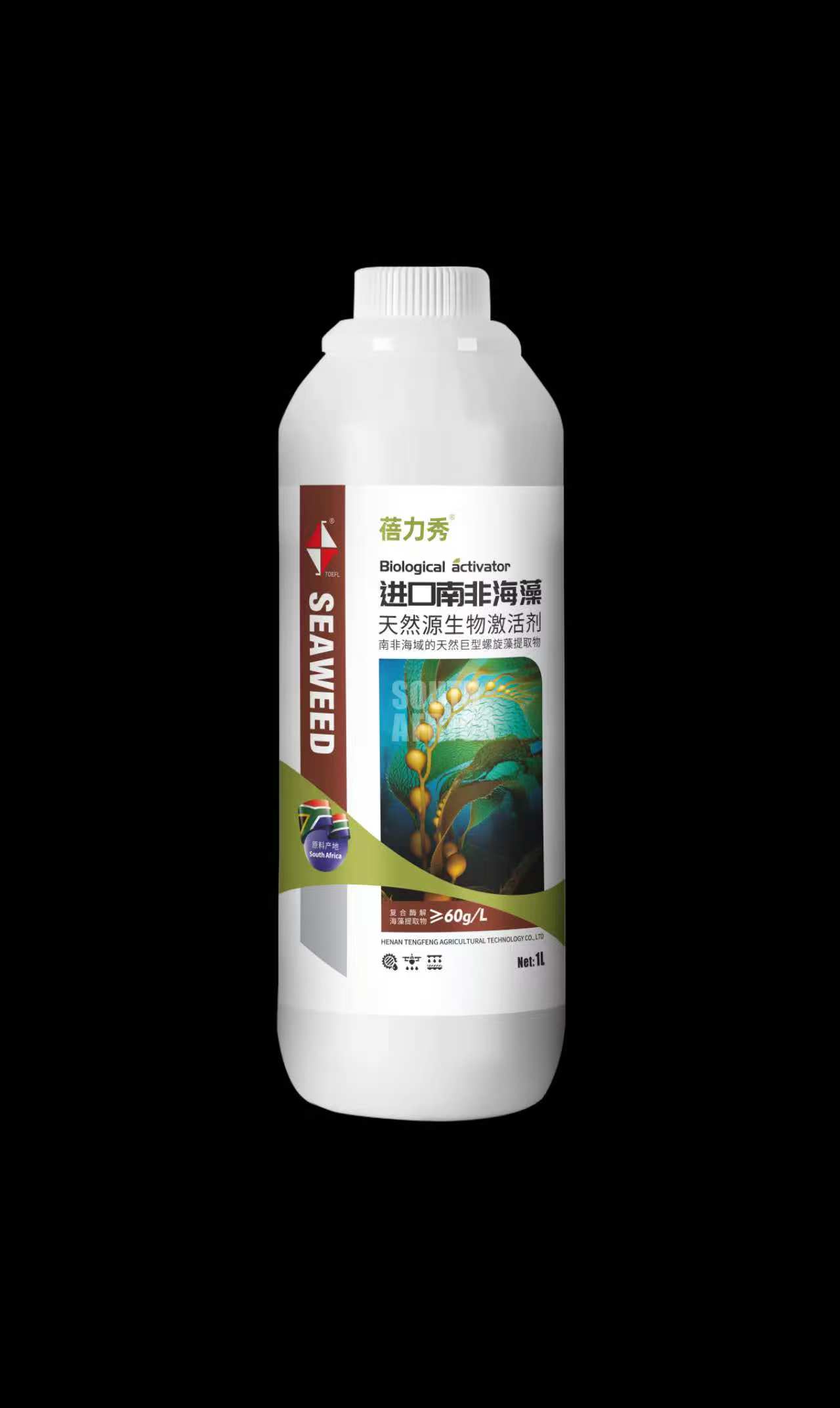 进口南非海藻