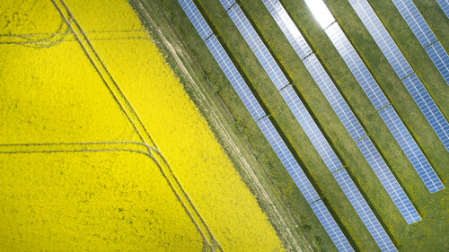 英国：推动国家粮食战略——农村土地利用框架应考虑绿色能源