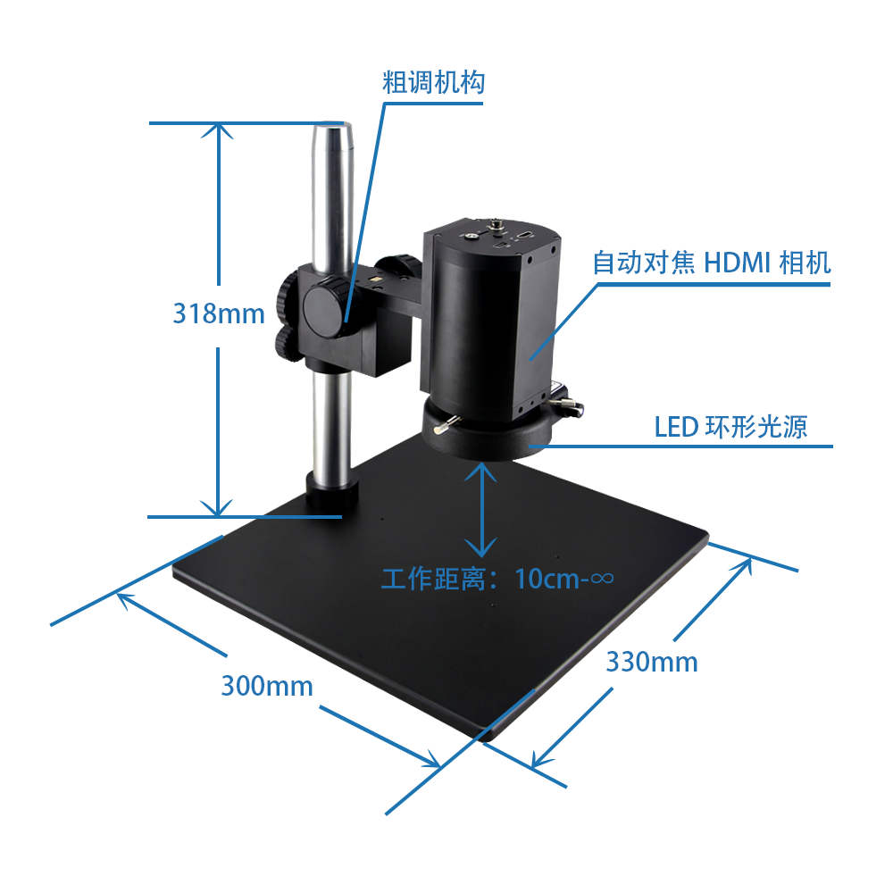 中示意(1)