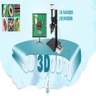 3D