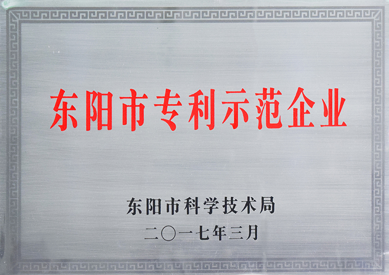 东阳市专利示范企业