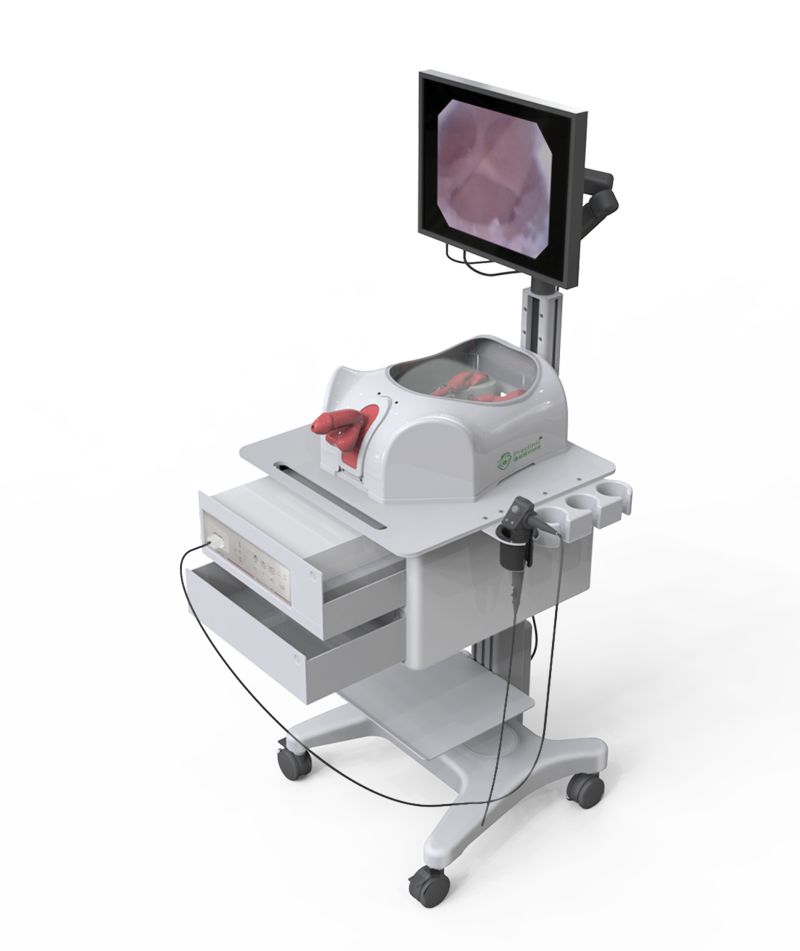 输尿管镜手术一体化培训模拟器