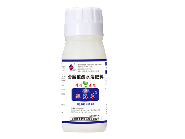 叶喷生根