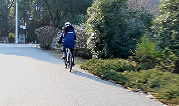 electric bike off road