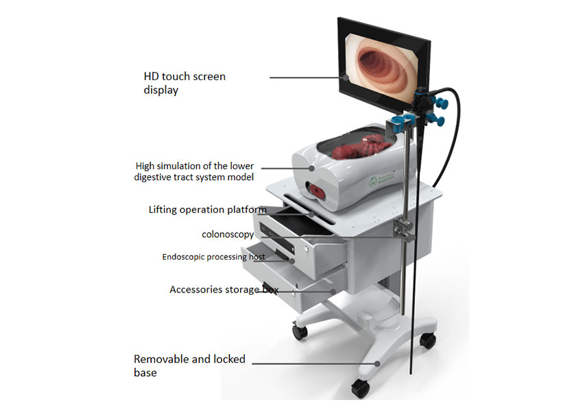 Integrated simulator for colonoscopic surgery training 