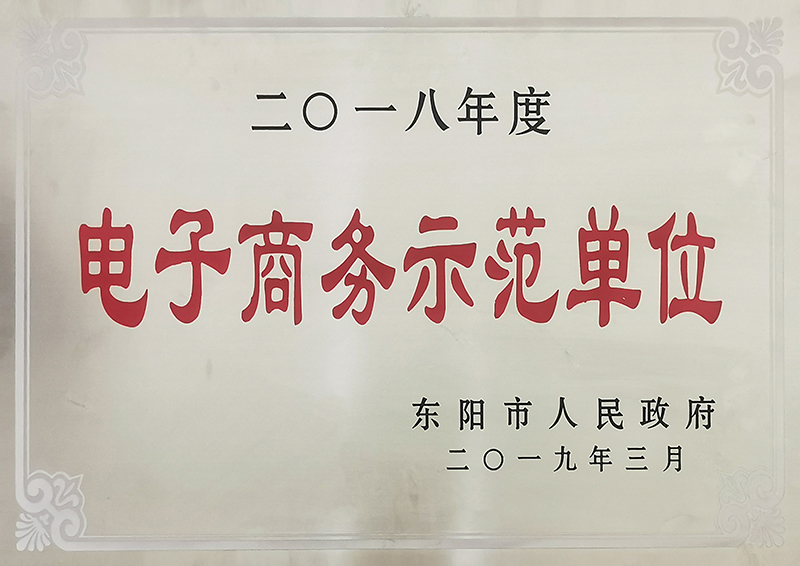 东阳市电子商务示范单位