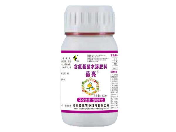 蓓亮