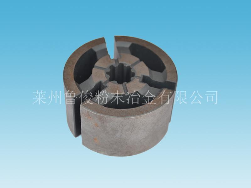 Vacuum pump rotor