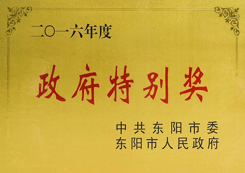 东阳市政府特别奖