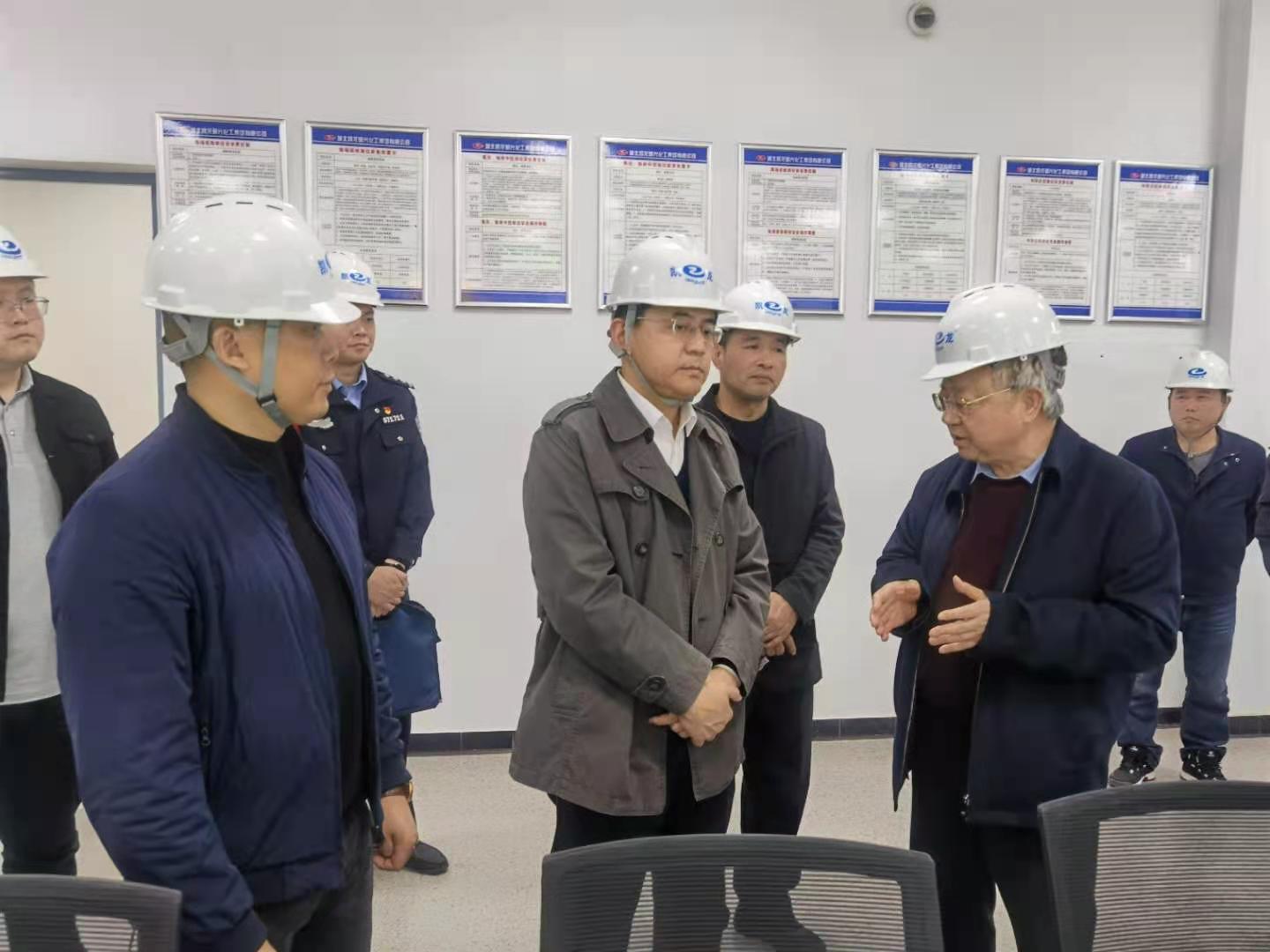 荆门市副市长陈实到bifa必发公司视察