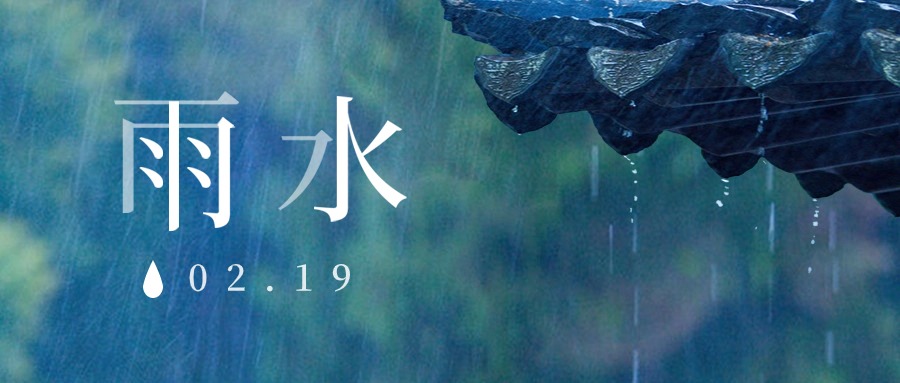 雨水丨春生有信，润物无声