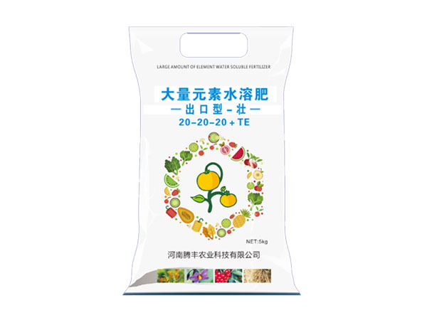 出口蓓美-壮