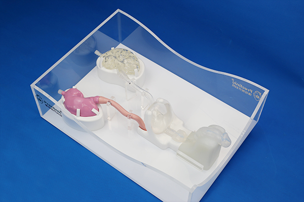 PLMN1001泌尿系统内镜介入培训模型