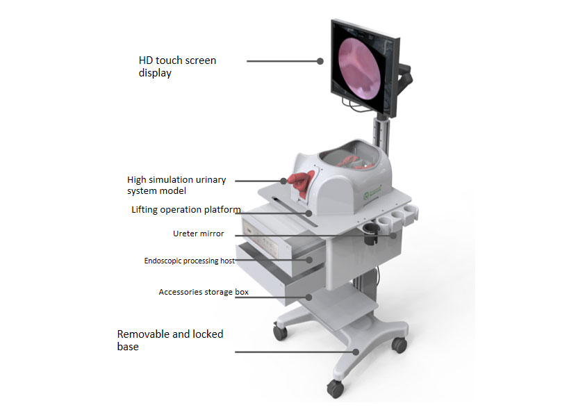 Integrated training simulator for ureteroscopic surgery 